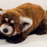 Lapusya (Seva), Red Panda.