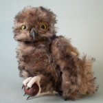 Sofya (owl).