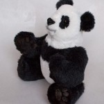 Mr. Lee panda.