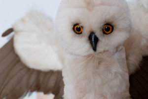 Owl Lucretia by Mint-Bird (Alena Tauseneva)